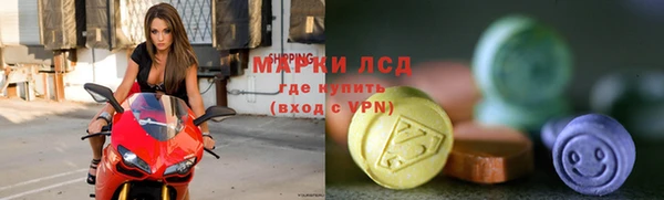 эйфоретик Богданович