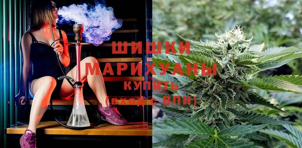 эйфоретик Богданович