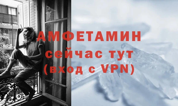 эйфоретик Богданович