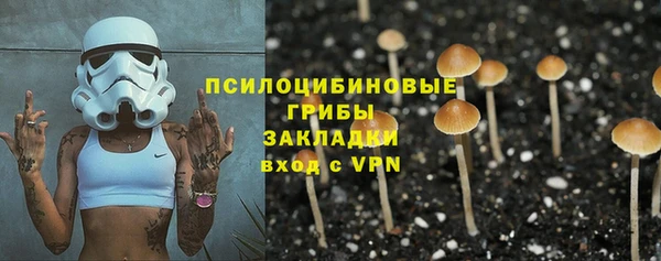дурь Богородицк