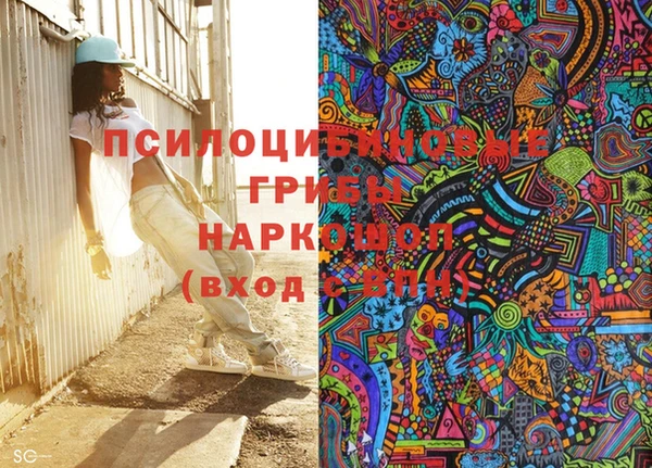 эйфоретик Богородск