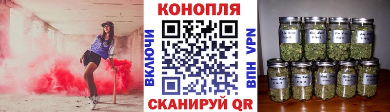 Конопля Bruce Banner  Купить где  Островной 